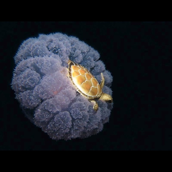 😍Bundle up your likes 😍 - Picture 4 of 16